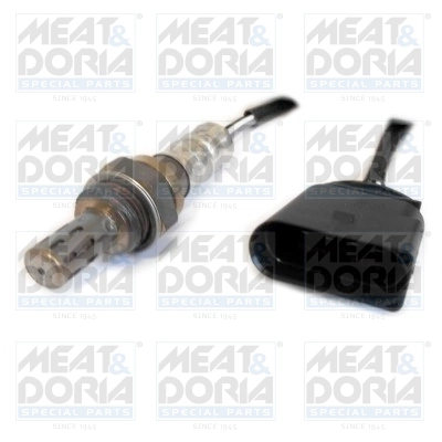 Oxygen Sensor